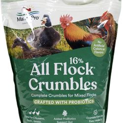 Flock Feed