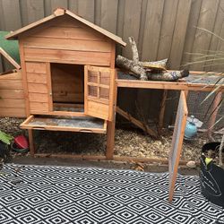 Small Chicken Coop