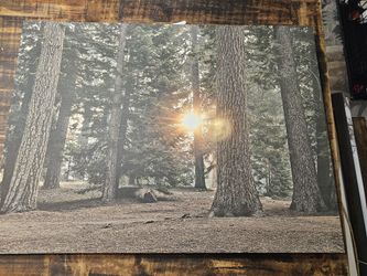 Scenery Canvas picture
