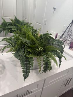 Fake plant