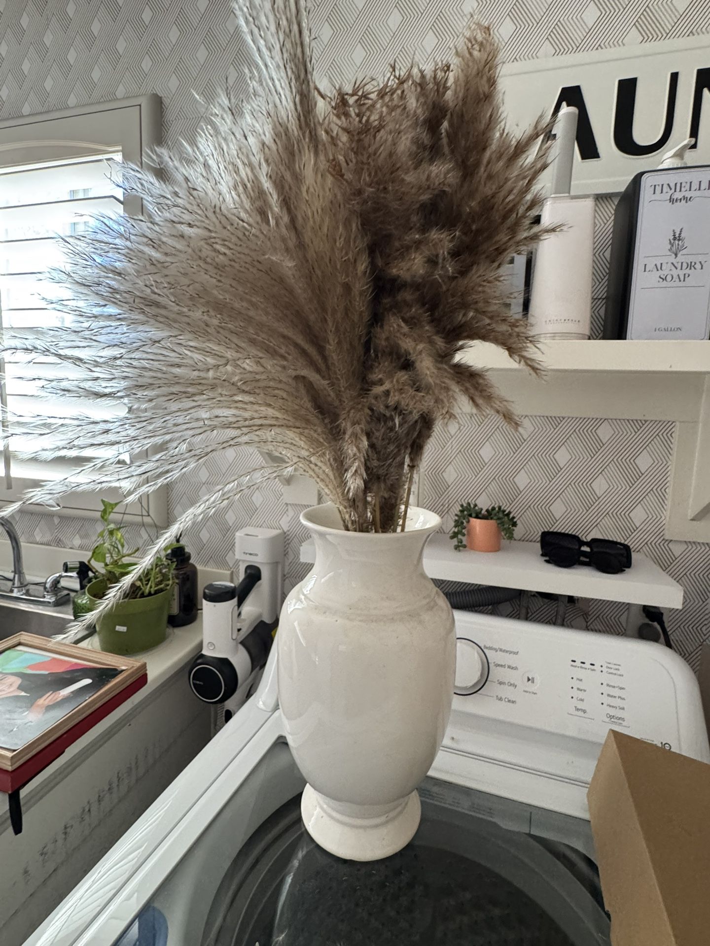 NEW PAMPAS grass