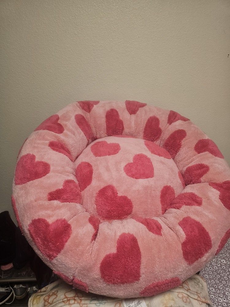 Dog Bed