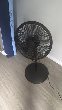 Black Pedestal Standing Fan