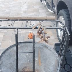 Living Room Stay Play(Ringneck O Cotorras 