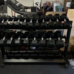 5-50lbs Dumbbells w/Rack 