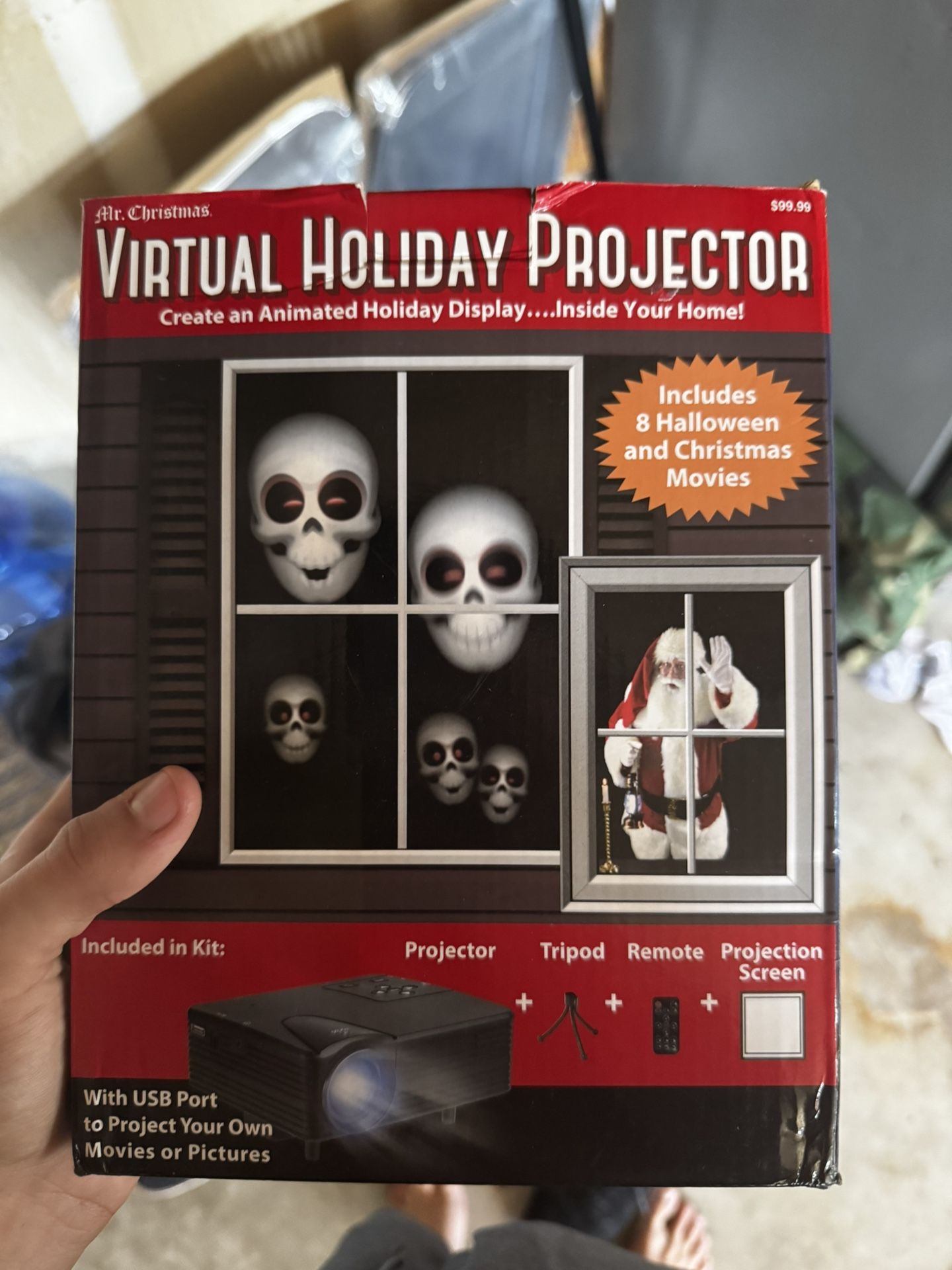 Holiday Projector