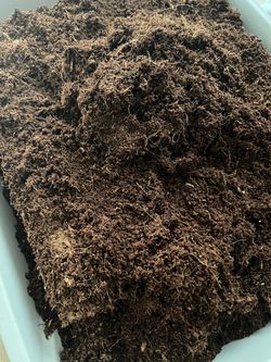 Coconut Coir Potting Soil