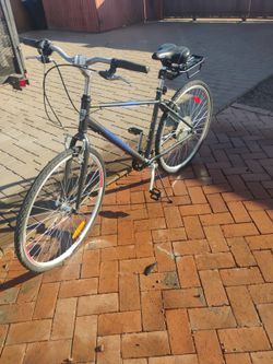 Infinity 7 Speed Bike