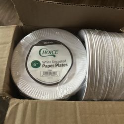 Choice 6” White Uncoated Paper Plates – 1,000/Cas