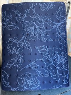 I have 2 queen mattresses