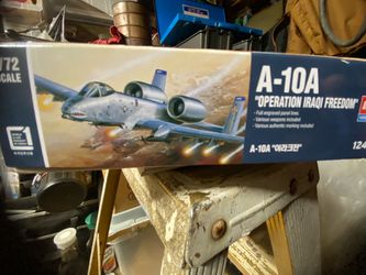 Warthog model