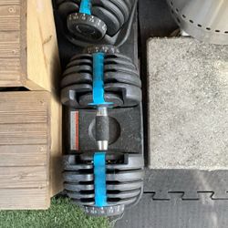 Weights, Workout, Fitness