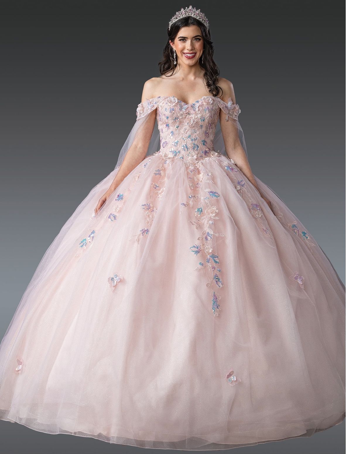 QuinceaƱera / Sweet Sixteen Dress