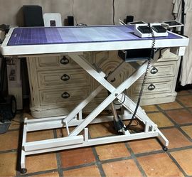 Paw brothers low low table