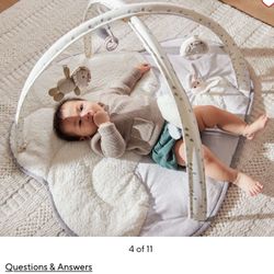 Skip Hop x Pottery Barn Dreamy Skies Activity Gym 