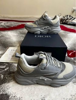 Dior b22- grey