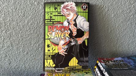 Demon Slayer Kimetsu no Yaiba Vol. 17 Manga
