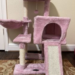 Cat House Pink Color 