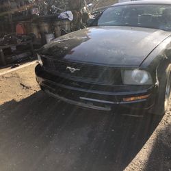2006 Mustang Hood