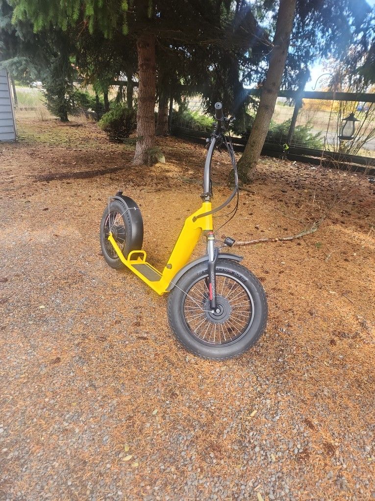 Commuting Adult Electric Scooter.