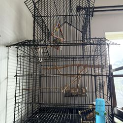 Bird Cage/ Jaula para Pajaros 