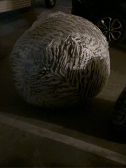 Large / Oversized Zebra Print Bean Bag Chair