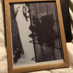 PHOTOGRAPHY ART 🖼️ FROM 2007