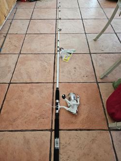 Fishing pole and accessories