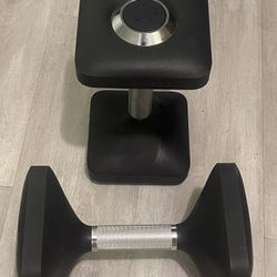 30 Pound Peleton Dumbbells 