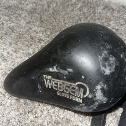 Webgym Glove Former