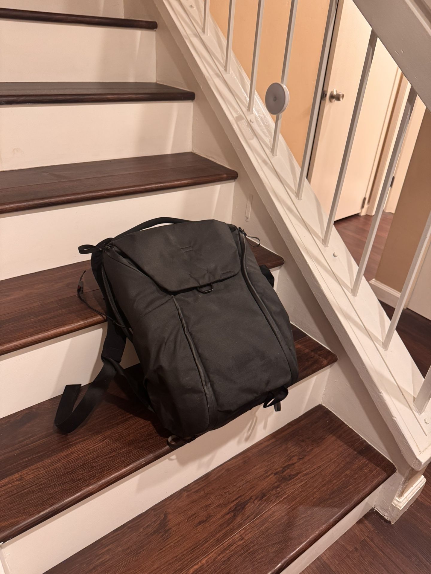 Peak Design - Everyday Backpack