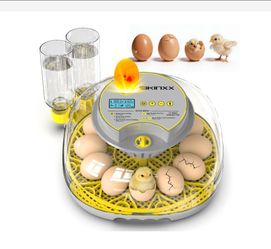 Incubator for Hatching Eggs-12 Egg Capacity, 2026 Newly Upgraded Automatic Egg Turner, Temperature & Humidity Control, 360° Viewing for Chicken, Duck