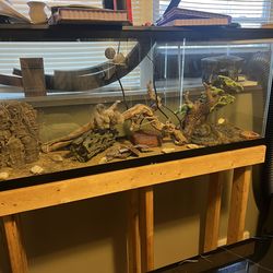 A reptile aquarium for sale