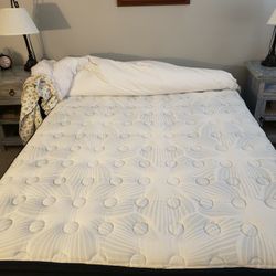 Guest Room Mattress and Solid Wood Frsme