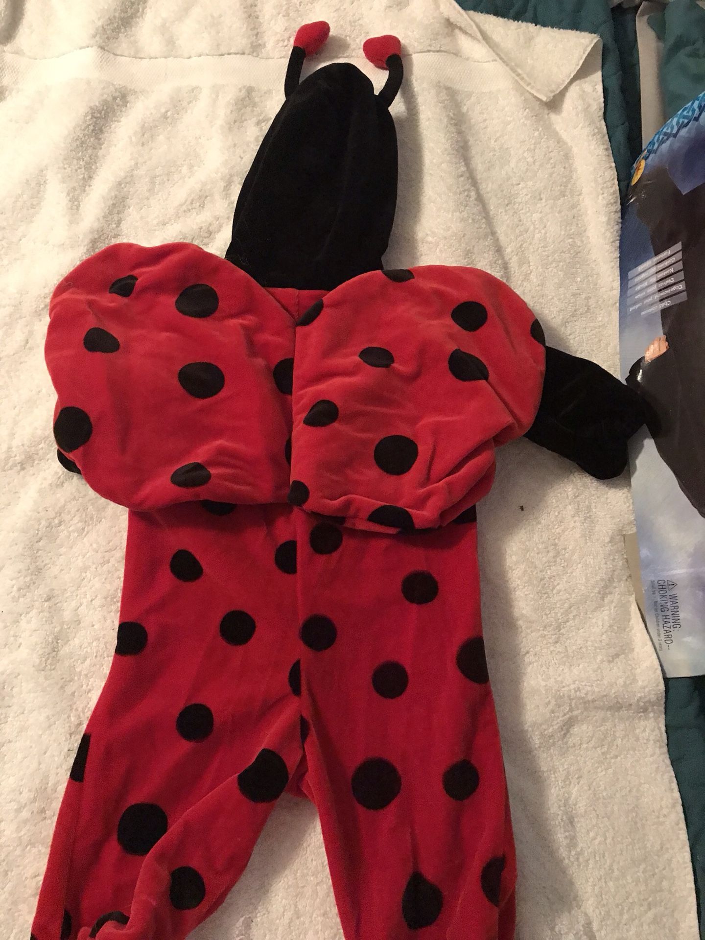 Lady bug costume.