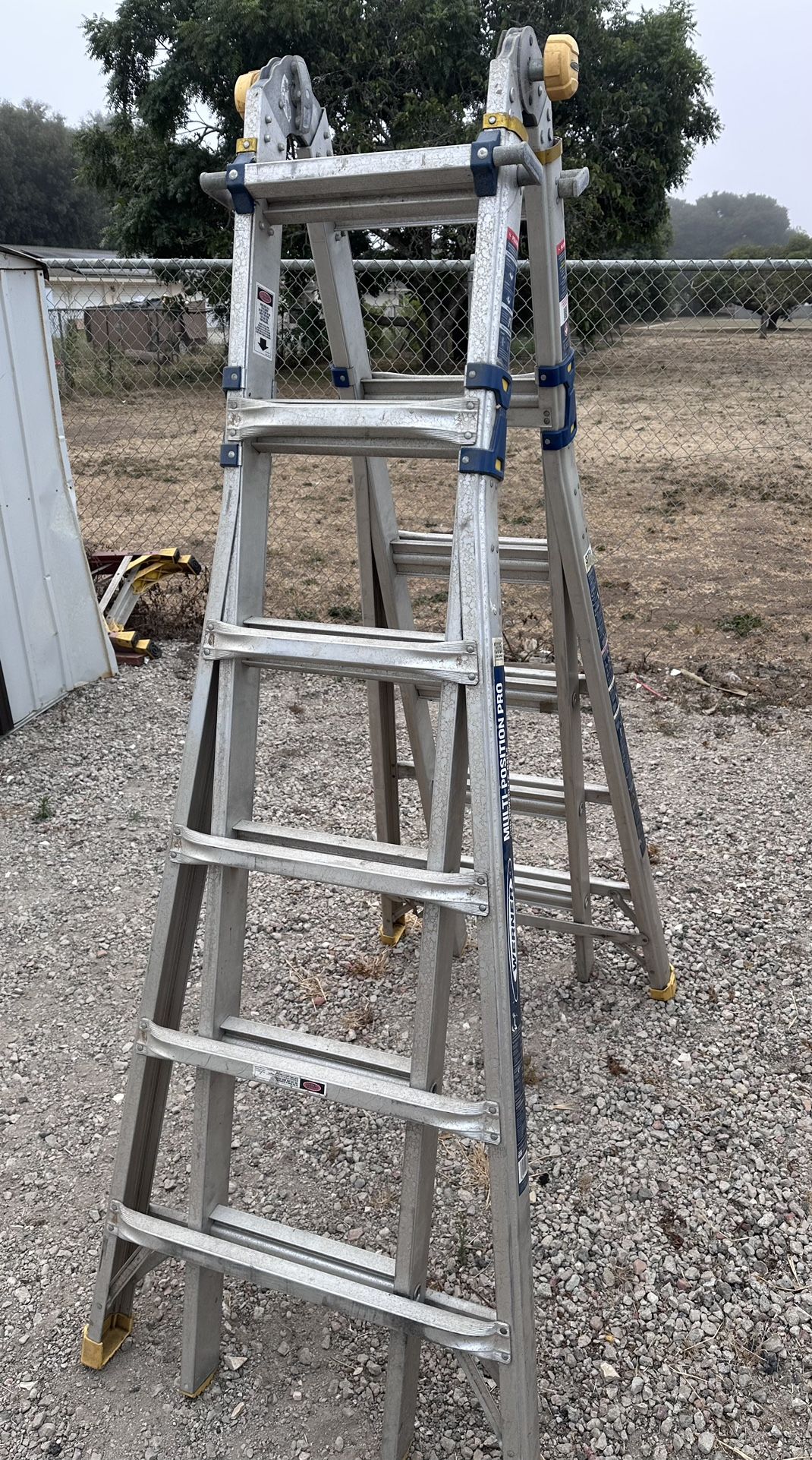Ladder