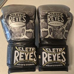 Cleto reyes boxing gloves
