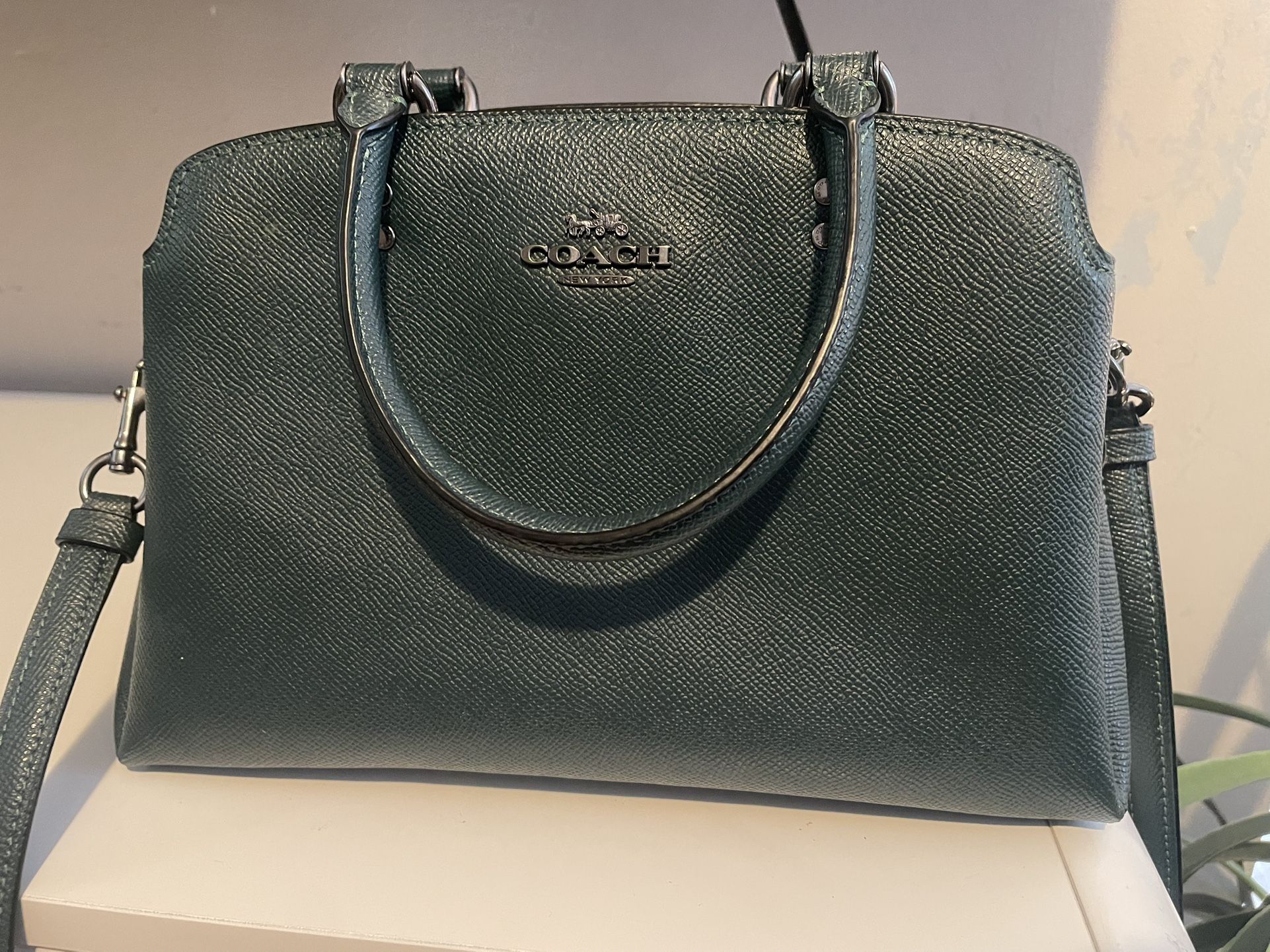 Coach Mini Lillie Carryall Bag
