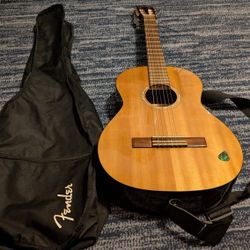 Guitar Fander 