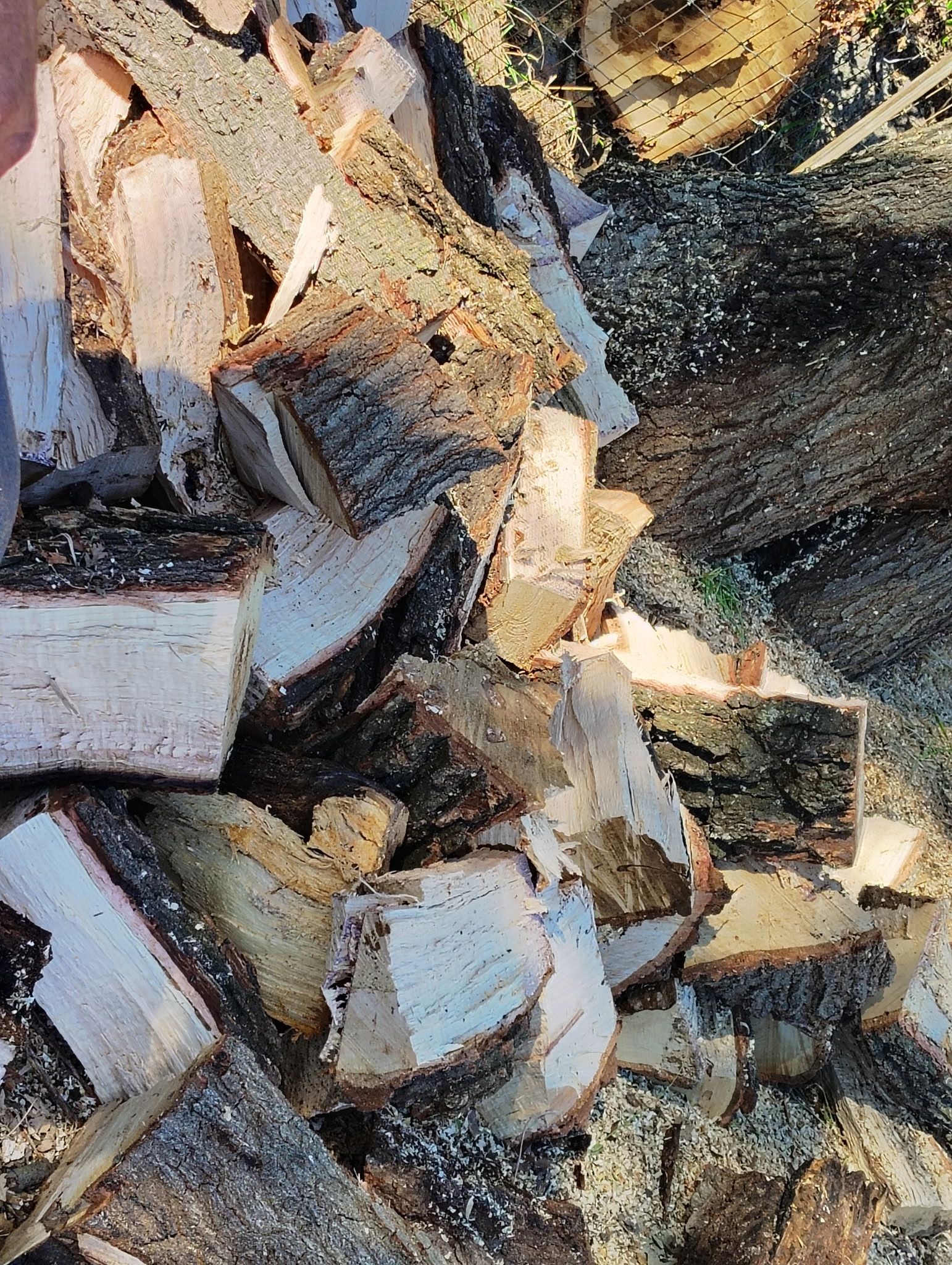 Firewood 