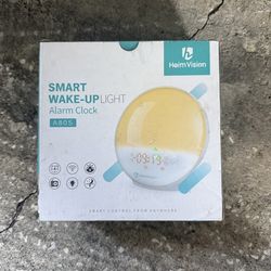 Smart wake up alarm