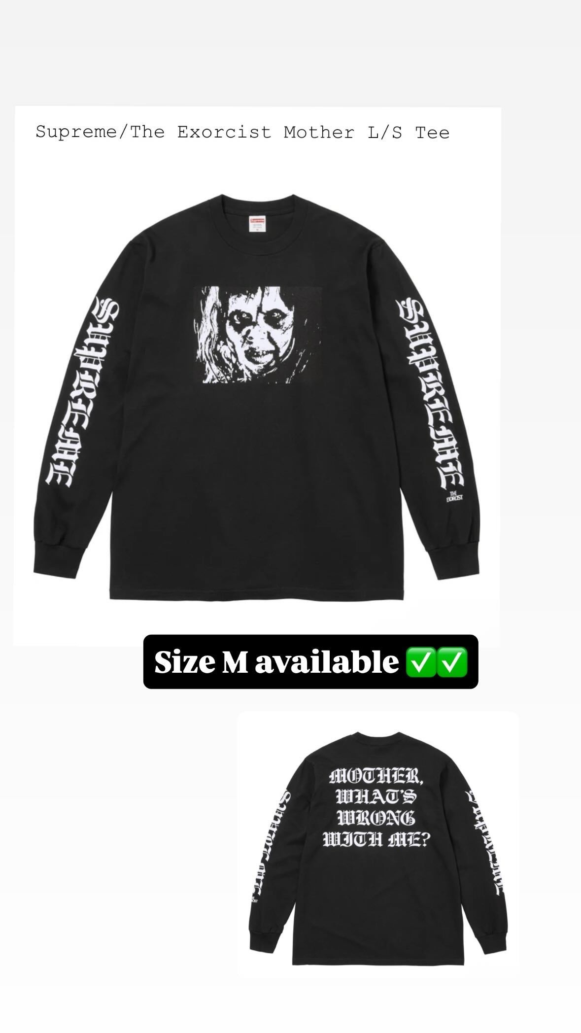 Supreme FW25' week 7 Supreme/ The Exorcist Mother L/S Tee Size M