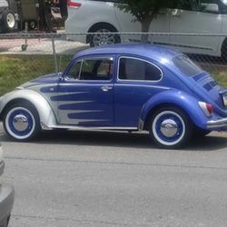 69 Vw Bug