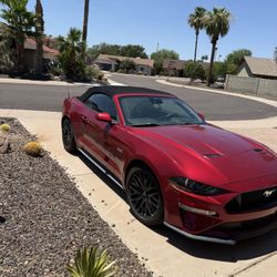 2020 Ford Mustang