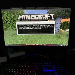 monitor 