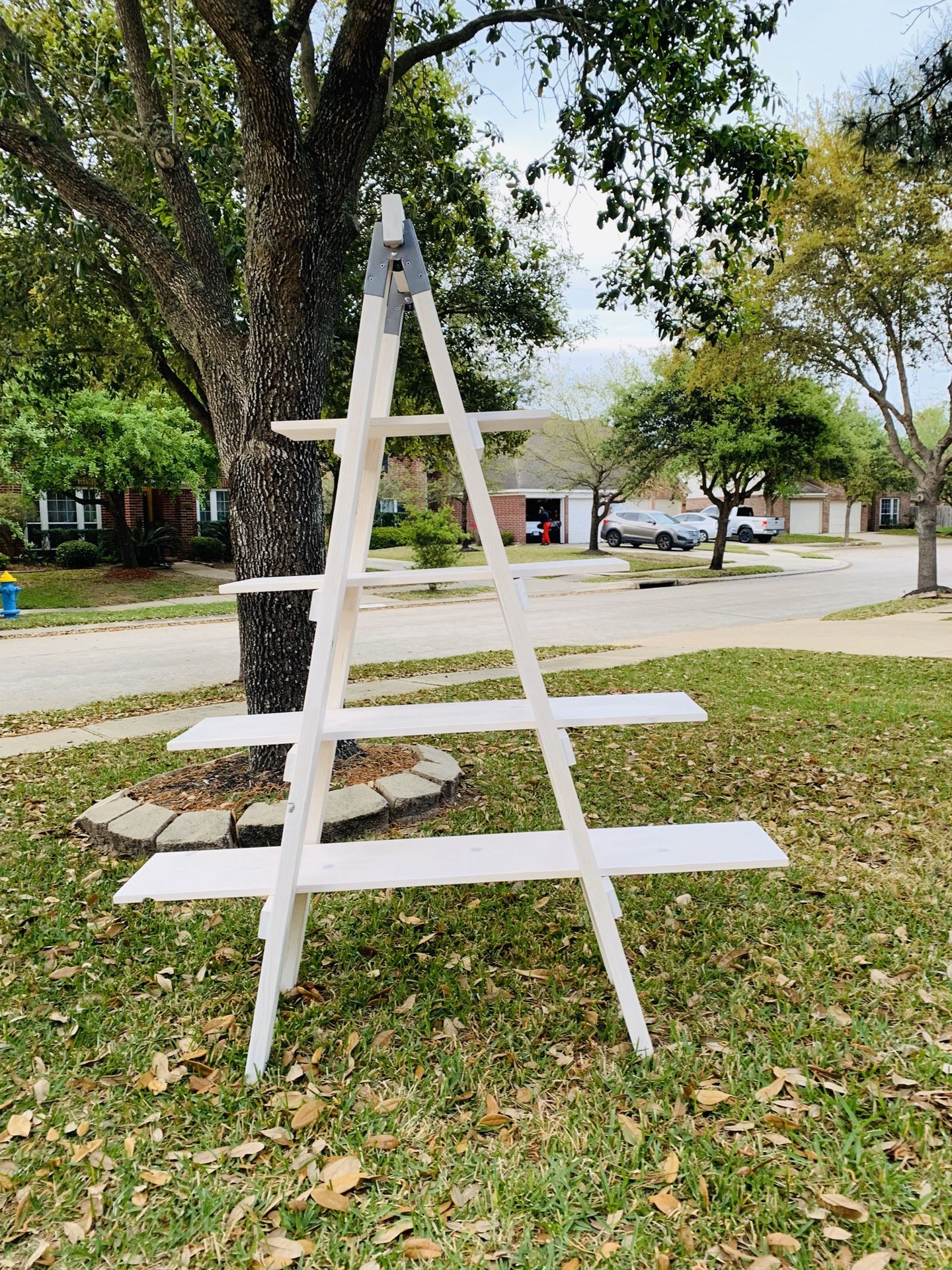 Ladder shelf