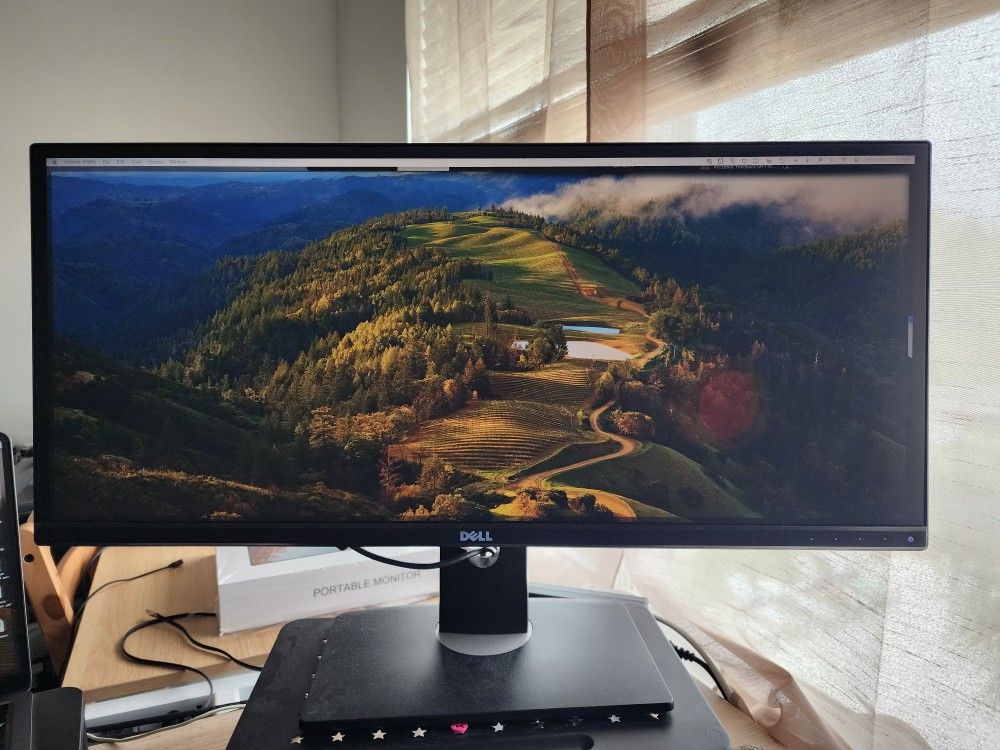 Dell U2913WM Monitor