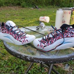 Jordan's Zion 3 