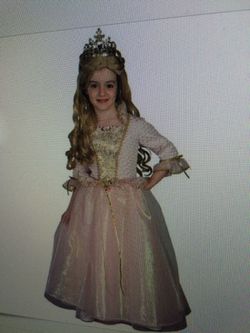 Barbie princess dress med 8-10 Halloween costume including crown