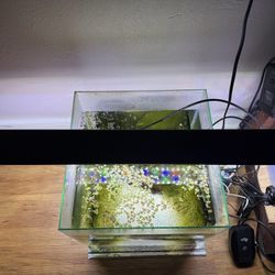 hygger aquarium light for plants 36”